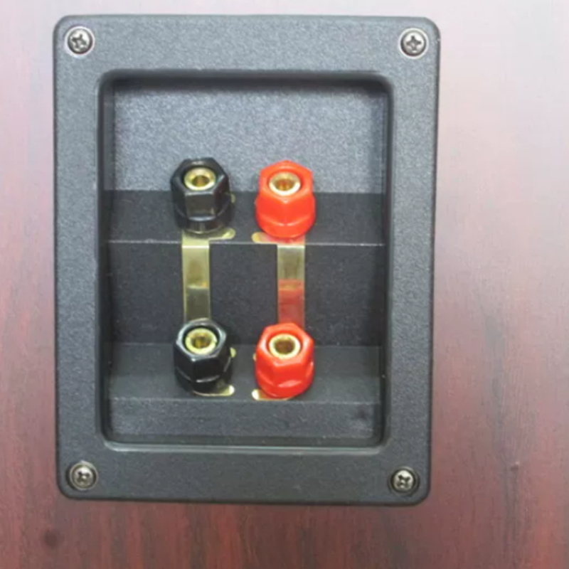 Haut-parleur passif de luxe po - Audio Home Cinema avis et prix